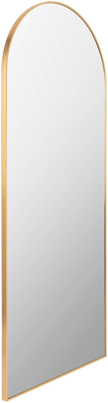 Aranya Mirror