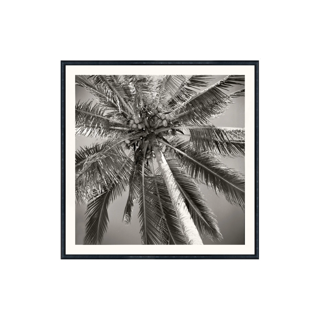 Nostalgia Collection – Palm Tree C. 1959