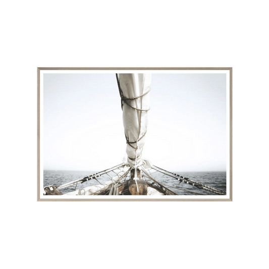 The Schooner